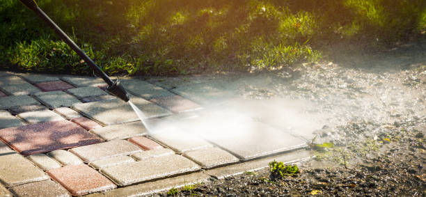 Best Roof Cleaning and Mildew Removal in USA